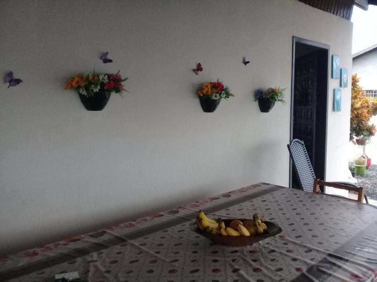 Hostel Cidade Das Flores 2 Joinville Zewnętrze zdjęcie